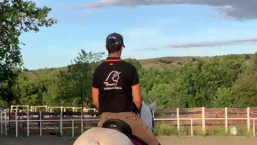 Doma de caballos en Móstoles Doma de caballos en Móstoles