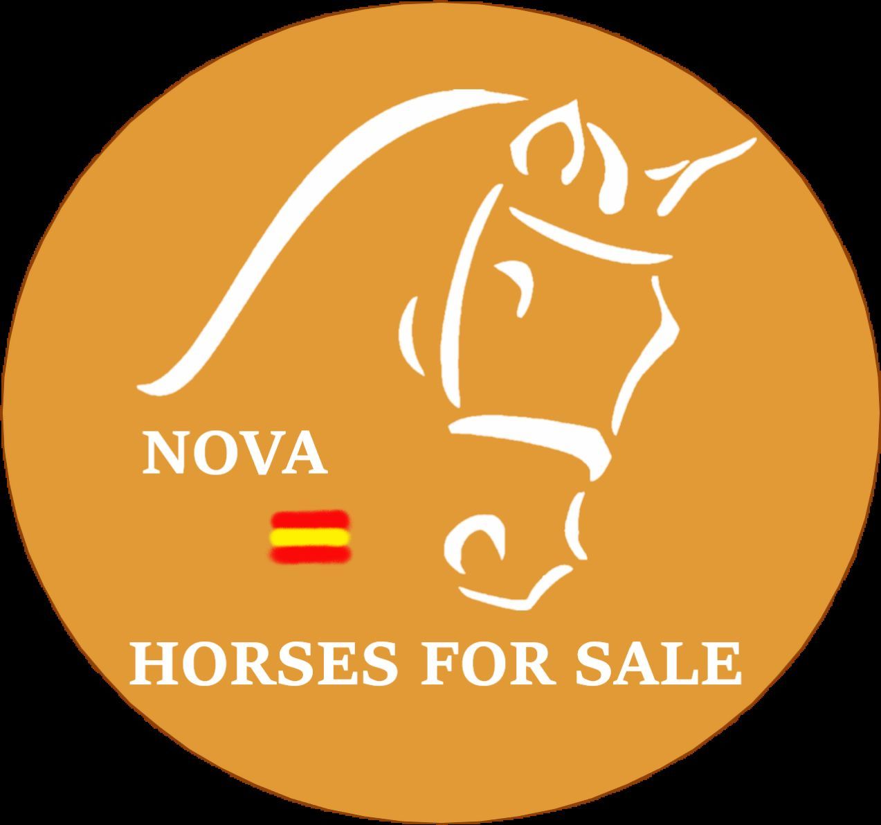 Venta de Caballos: Servicios de Fran Arenas Doma Clásica Venta de Caballos: Servicios de Fran Arenas Doma Clásica
