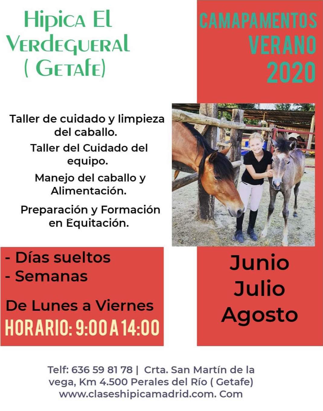 Campamentos de verano: Servicios de Fran Arenas Doma Clásica Campamentos de verano: Servicios de Fran Arenas Doma Clásica