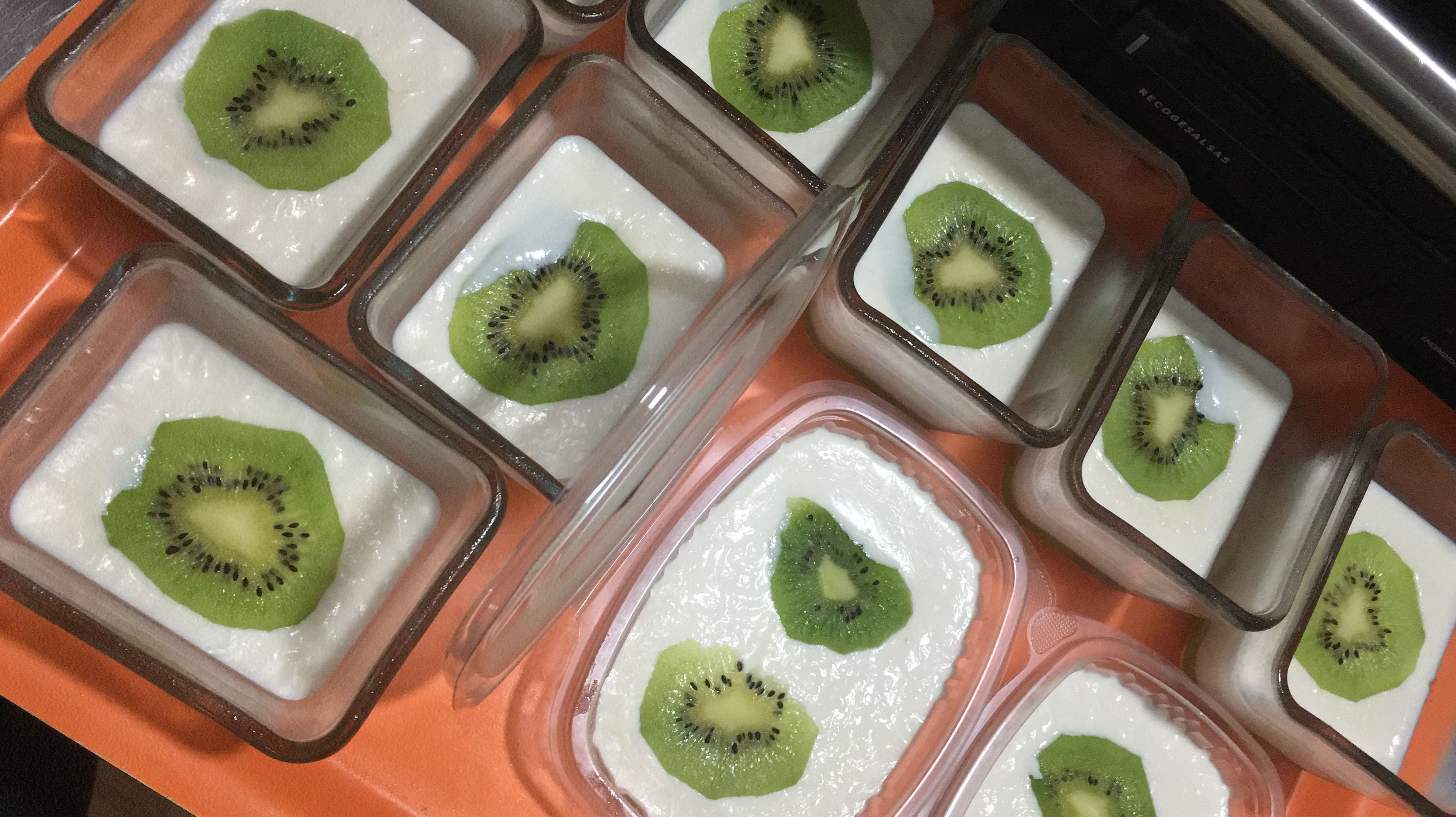Panna Cotta de Kiwi!! Panna Cotta de Kiwi!!