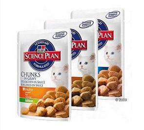Alimentación para gatos: Productos y Servicios de Zoolife - Clínica Veterinaria Alimentación para gatos: Productos y Servicios de Zoolife - Clínica Veterinaria