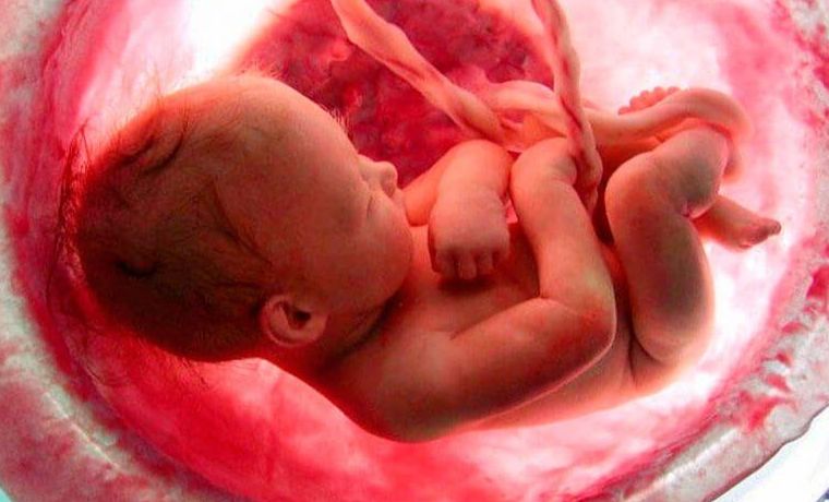 Diagnóstico prenatal: Servicios de Clínica Ginecológica Dr. J. M. Ramos Diagnóstico prenatal: Servicios de Clínica Ginecológica Dr. J. M. Ramos