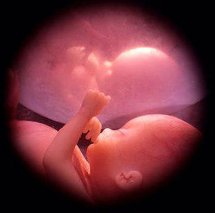 Diagnóstico prenatal: Servicios de Clínica Ginecológica Dr. J. M. Ramos Diagnóstico prenatal: Servicios de Clínica Ginecológica Dr. J. M. Ramos