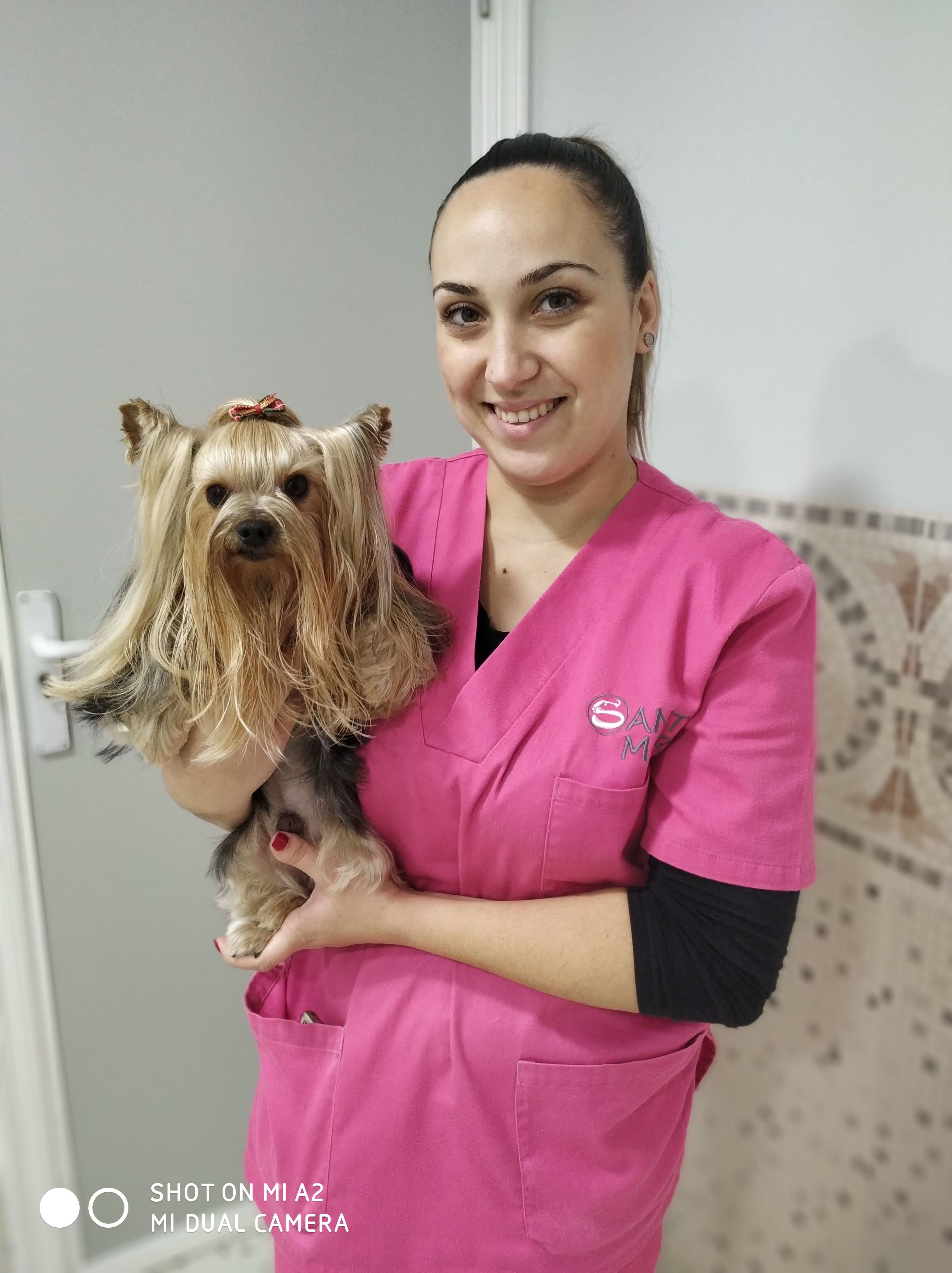 Peluquería canina y felina: Nuestros Servicios de Clínica Veterinaria Sant Marc Peluquería canina y felina: Nuestros Servicios de Clínica Veterinaria Sant Marc