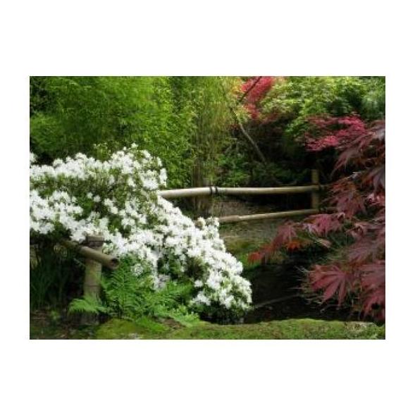 Jardinería: Servicios de Auxiser Madrid Servicios Auxiliares Jardinería: Servicios de Auxiser Madrid Servicios Auxiliares