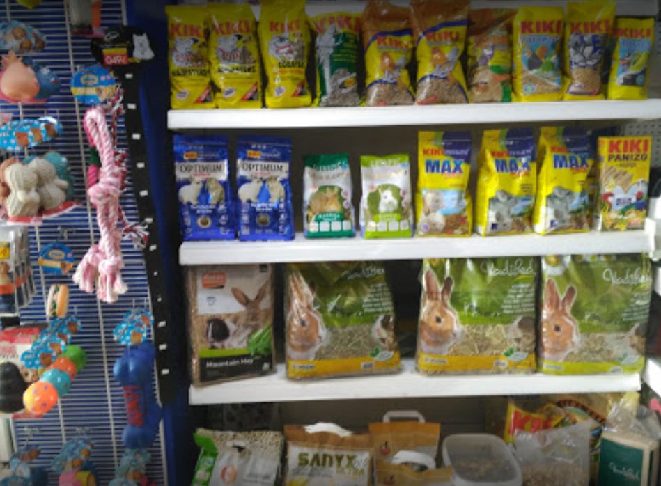 Tienda de accesorios y alimentación: Servicios de Compañeros Tienda De Mascotas Tienda de accesorios y alimentación: Servicios de Compañeros Tienda De Mascotas