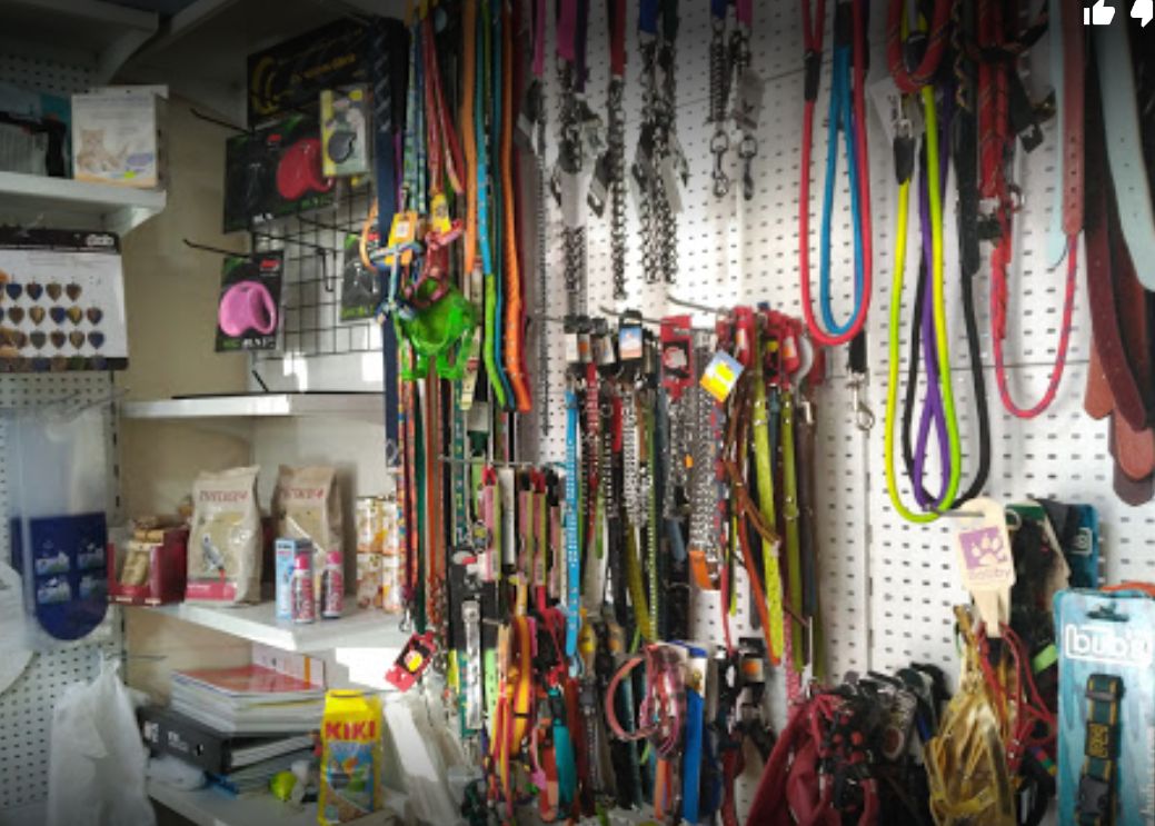 Tienda de accesorios y alimentación: Servicios de Compañeros Tienda De Mascotas Tienda de accesorios y alimentación: Servicios de Compañeros Tienda De Mascotas