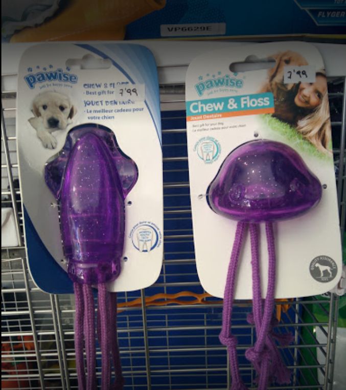 Tienda de accesorios y alimentación: Servicios de Compañeros Tienda De Mascotas Tienda de accesorios y alimentación: Servicios de Compañeros Tienda De Mascotas