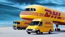 Punto de recogida DHL: Servicios de Compañeros Tienda De Mascotas Punto de recogida DHL: Servicios de Compañeros Tienda De Mascotas
