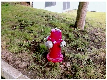 Foto 16 de Extintores y material contra incendios en Avilés | Alba Protección de Incendios, S.L.