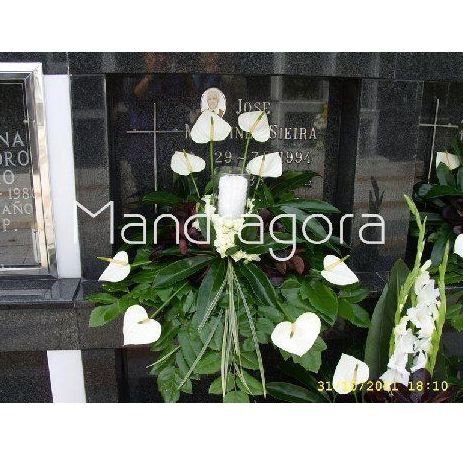 Centros: Productos de Mandrágora Floristería Centros: Productos de Mandrágora Floristería
