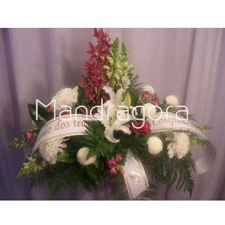 Centros: Productos de Mandrágora Floristería Centros: Productos de Mandrágora Floristería