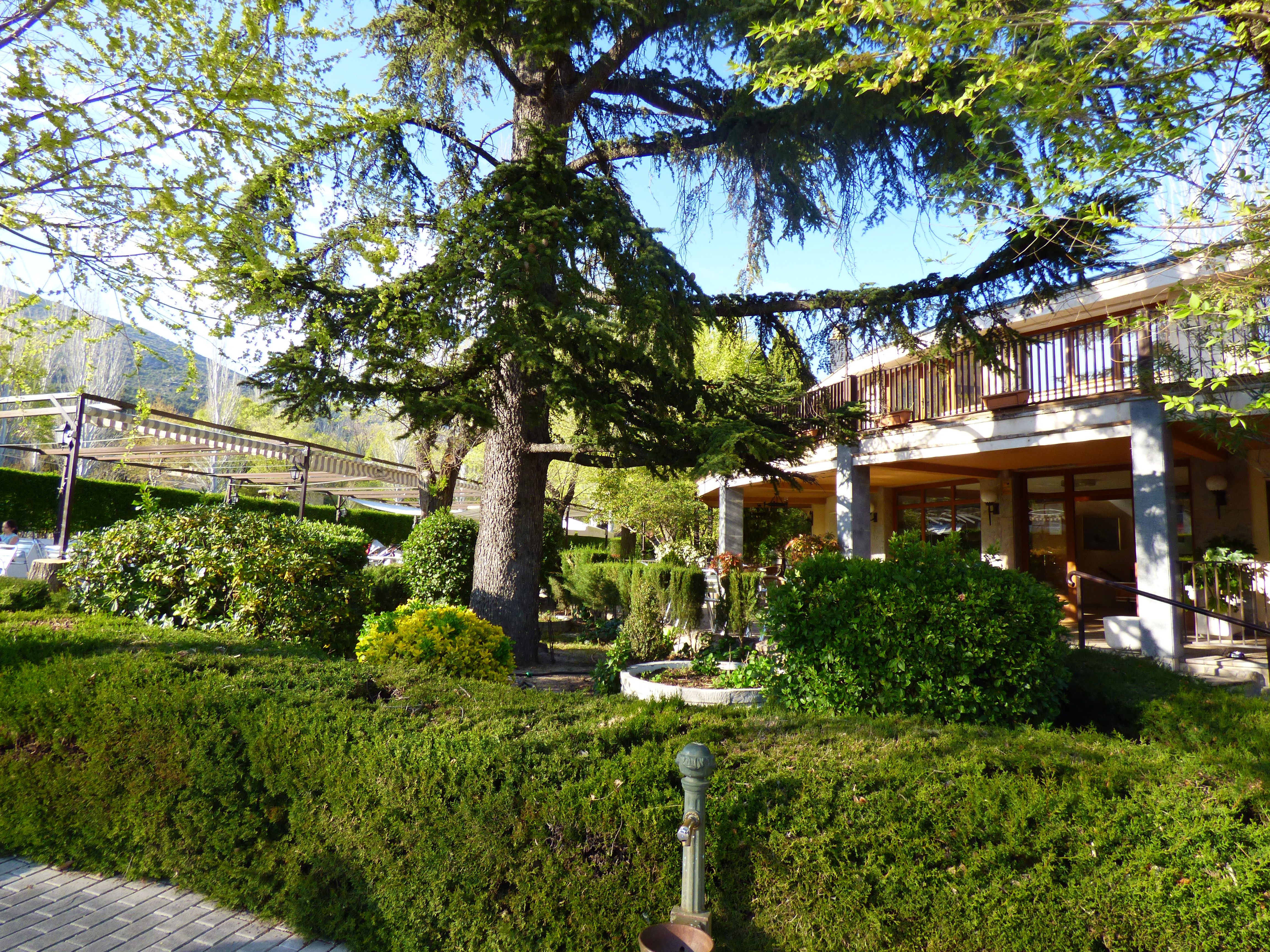 Apartamento en Urbanización Monte Escorial, El Escorial: de Vicente Palau Jiménez - Agente Inmobiliario Apartamento en Urbanización Monte Escorial, El Escorial: de Vicente Palau Jiménez - Agente Inmobiliario
