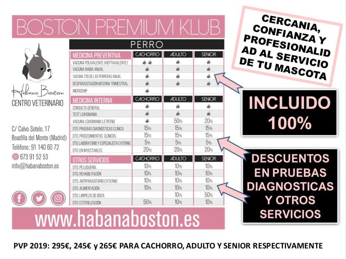 Clinica veterinaria Habana Boston. BOSTON PREMIUM KLUB Clinica veterinaria Habana Boston. BOSTON PREMIUM KLUB