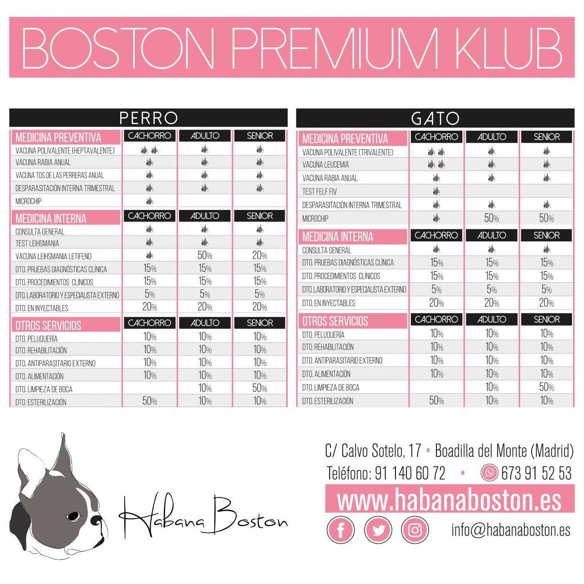 Clínica veterinaria Habana Boston Boadilla del Monte Clínica veterinaria Habana Boston Boadilla del Monte