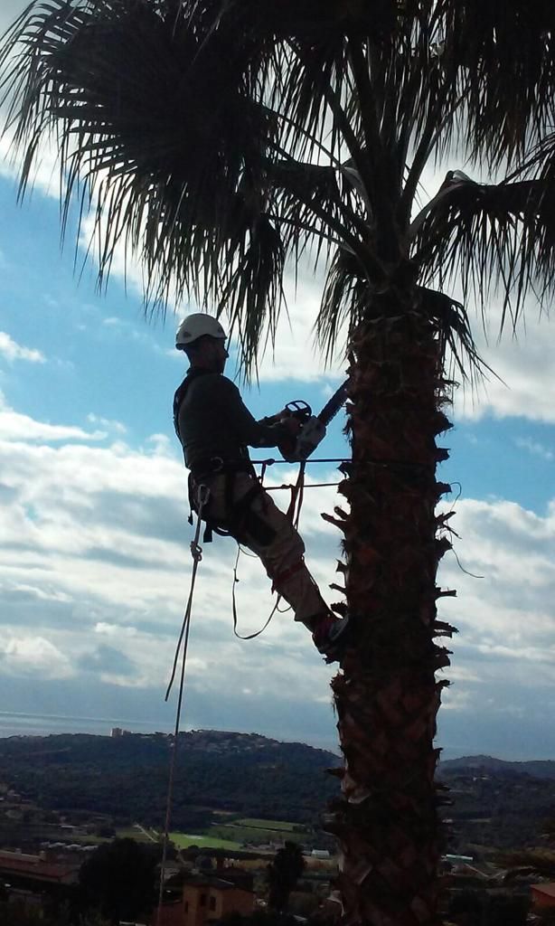 Poda de árboles: Catálogo de Trabajos Verticales Oscar da Silva Poda de árboles: Catálogo de Trabajos Verticales Oscar da Silva