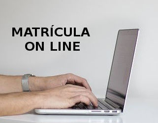 Matrícula on line }}