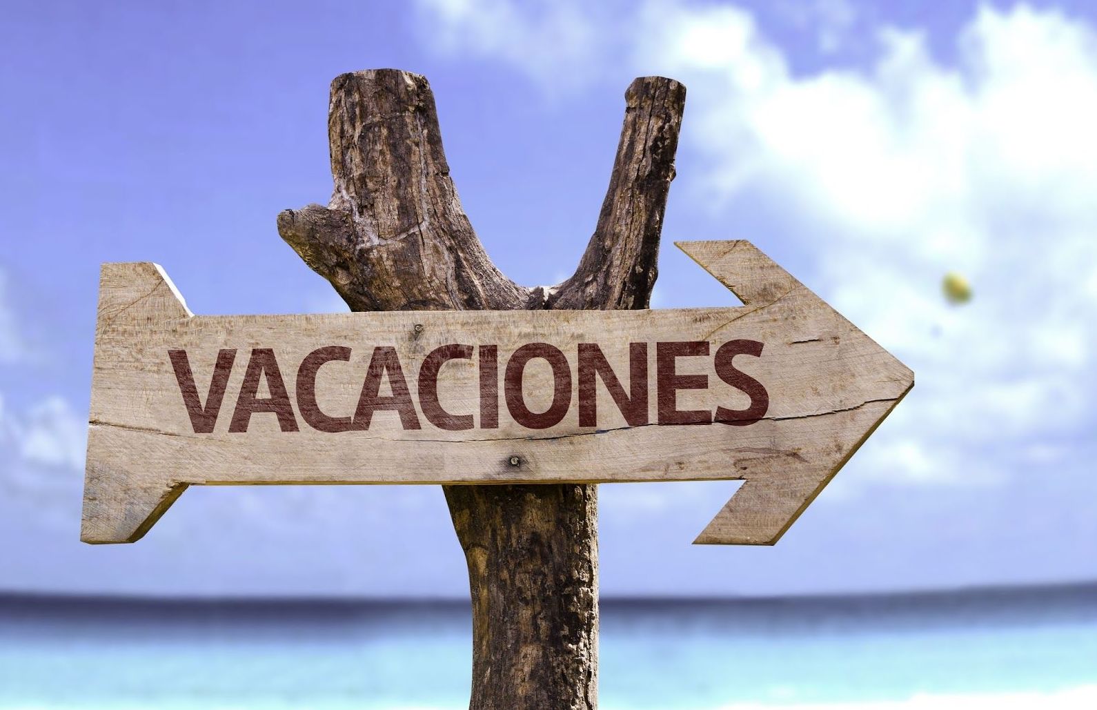 cei menuts escuelas de vacaciones cei menuts escuelas de vacaciones