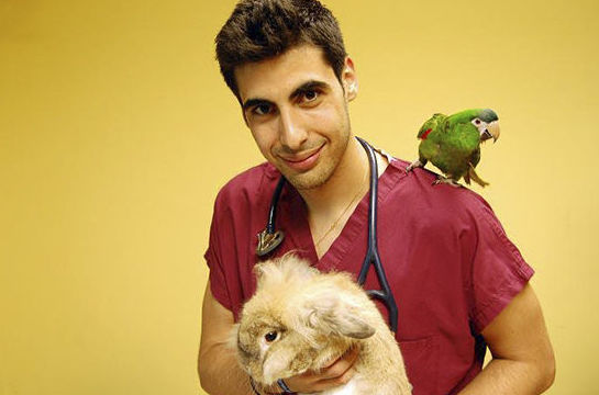 Veterinario de animáles exóticos: Servicios de Centro Veterinario Los Alpes Veterinario de animáles exóticos: Servicios de Centro Veterinario Los Alpes