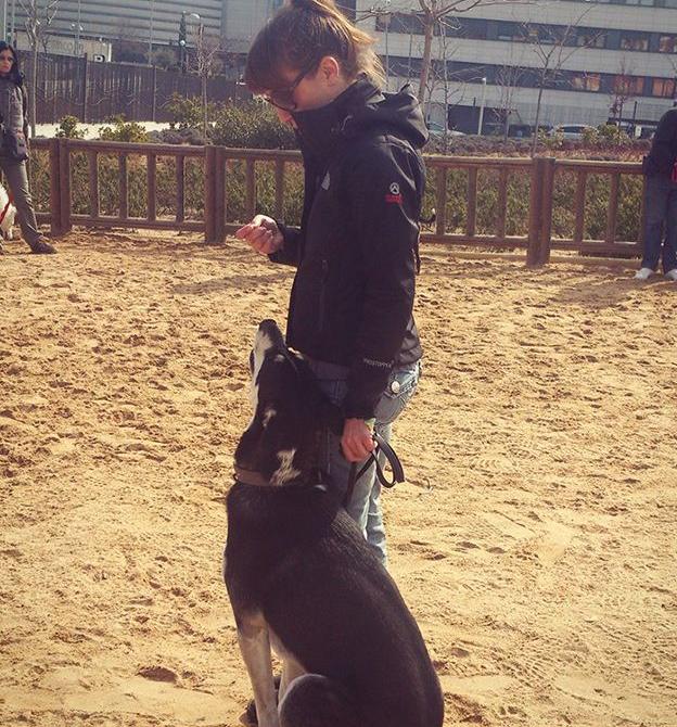 Etología: Servicios de Centro Veterinario Los Alpes Etología: Servicios de Centro Veterinario Los Alpes