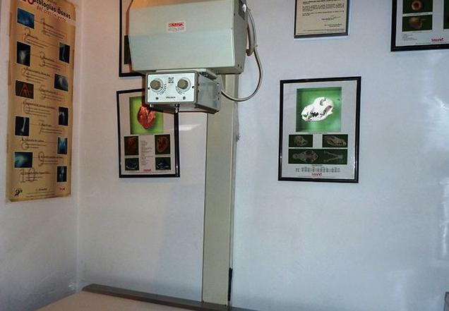 Radiología : Servicios de Centro Veterinario Los Alpes Radiología : Servicios de Centro Veterinario Los Alpes