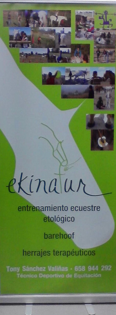 Cartelería: Servicios de Cemeyka Digital Cartelería: Servicios de Cemeyka Digital