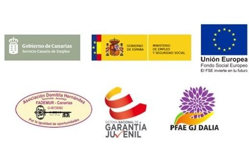 PFAE GJ DALIA: Proyectos y Servicios de Asociación Domitila PFAE GJ DALIA: Proyectos y Servicios de Asociación Domitila