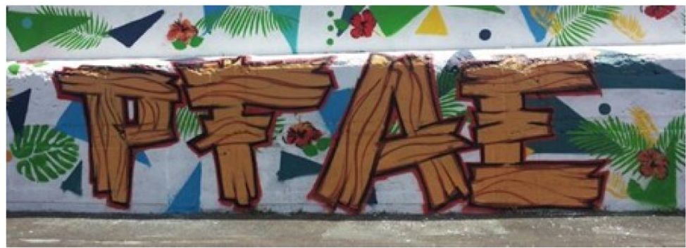 PFAE: Proyectos y Servicios de Asociación Domitila PFAE: Proyectos y Servicios de Asociación Domitila