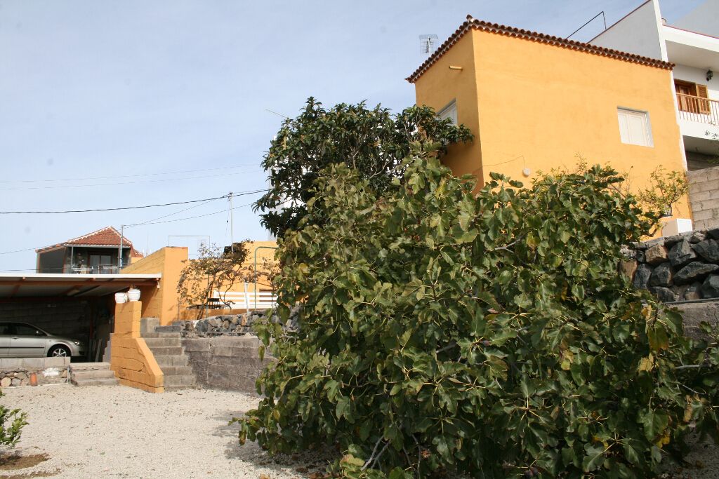 Casa terrera en Tejina - Guía de Isora PRECIO REBAJADO: Compra y venta de inmuebles de Tenerife Investment Properties Casa terrera en Tejina - Guía de Isora PRECIO REBAJADO: Compra y venta de inmuebles de Tenerife Investment Properties