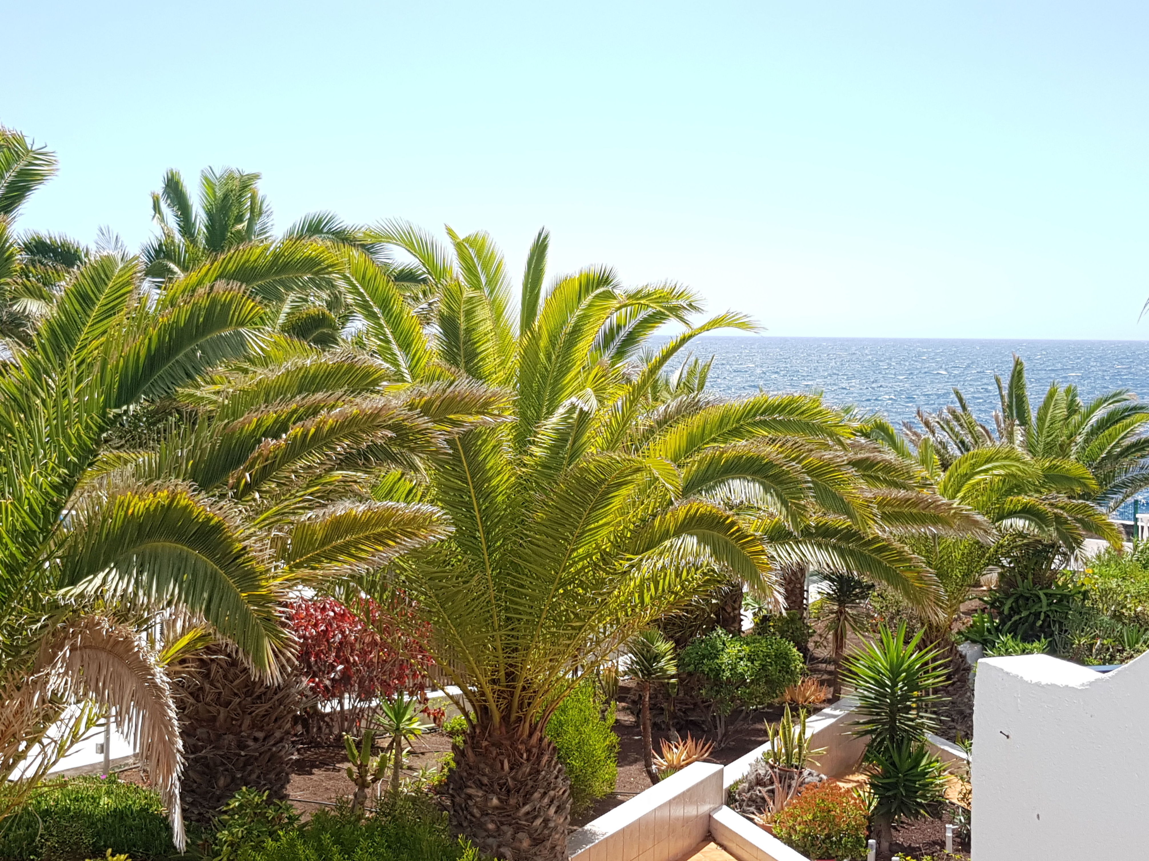 Costa Del Silencio - Apartamento 1 Dormitorio Atlantic View - 1 Bed Atlanti: Compra y venta de inmuebles de Tenerife Investment Properties Costa Del Silencio - Apartamento 1 Dormitorio Atlantic View - 1 Bed Atlanti: Compra y venta de inmuebles de Tenerife Investment Properties