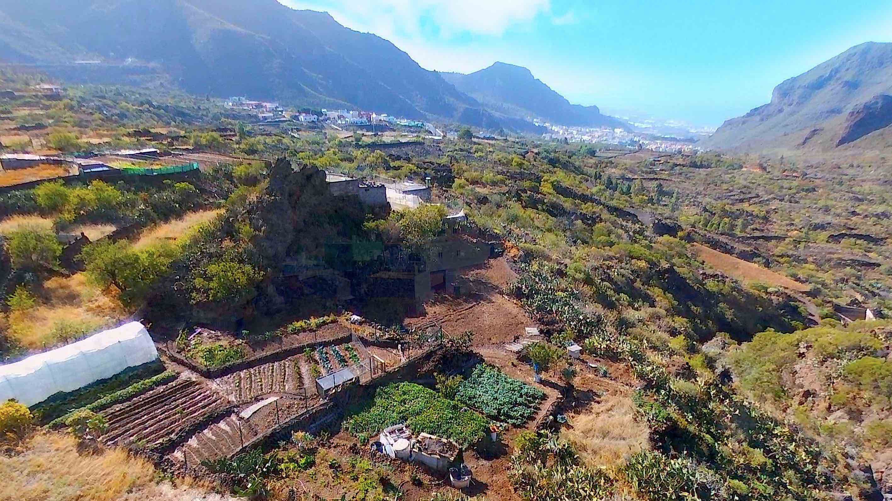 Venta de finca agrícola: Compra y venta de inmuebles de Tenerife Investment Properties Venta de finca agrícola: Compra y venta de inmuebles de Tenerife Investment Properties