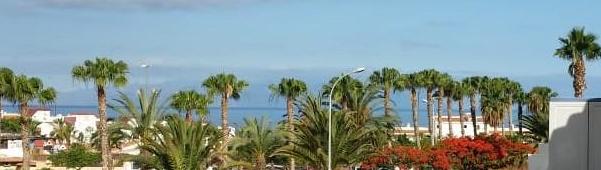 Venta de estudio Malibu Park: Compra y venta de inmuebles de Tenerife Investment Properties Venta de estudio Malibu Park: Compra y venta de inmuebles de Tenerife Investment Properties