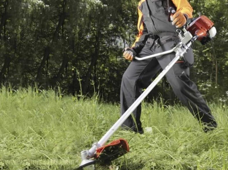 Desbroce de parcelas y limpieza de terrenos: Servicios de Jardiart Desbroce de parcelas y limpieza de terrenos: Servicios de Jardiart