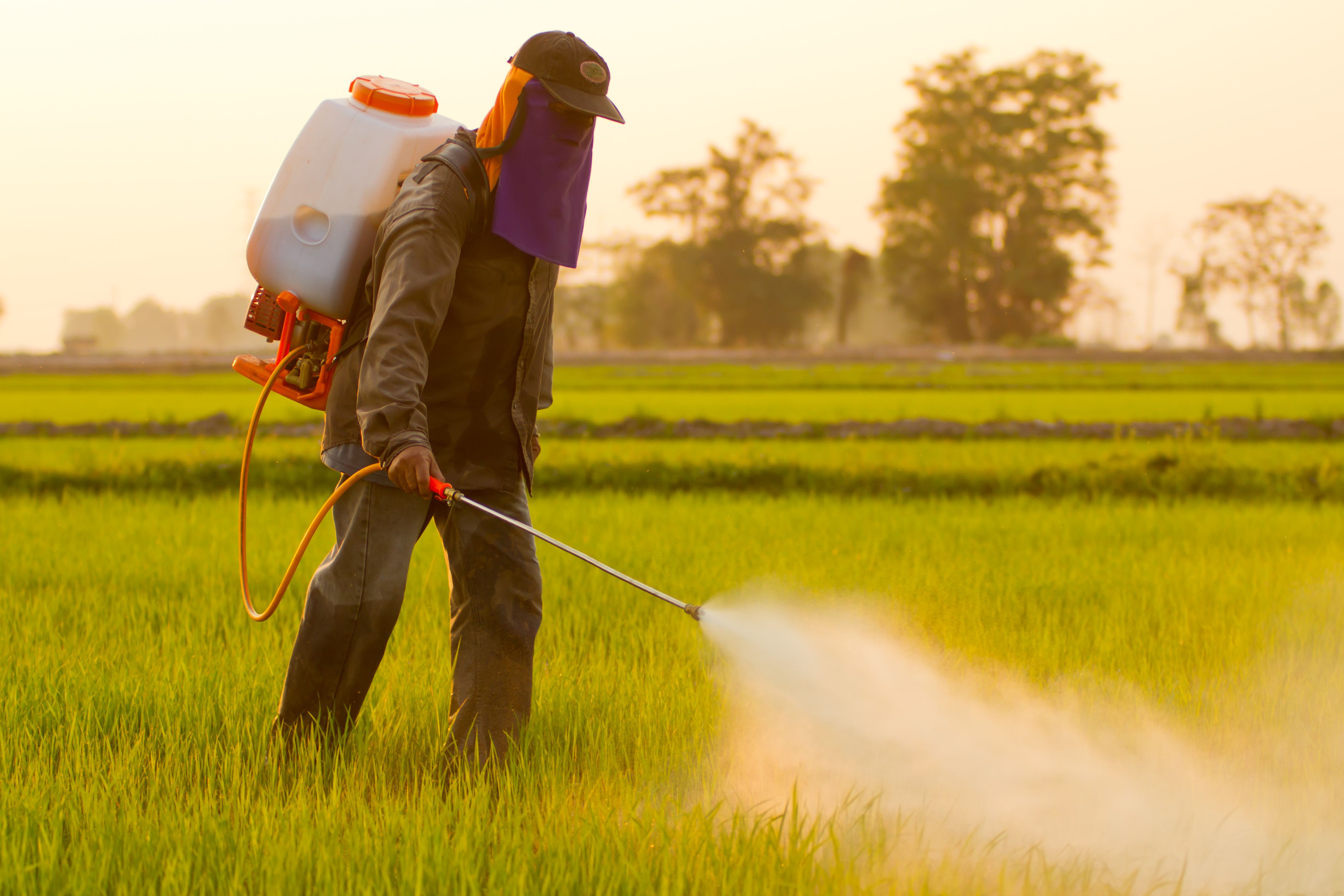 Aplicación de productos fitosanitarios: Servicios de Jardiart Aplicación de productos fitosanitarios: Servicios de Jardiart