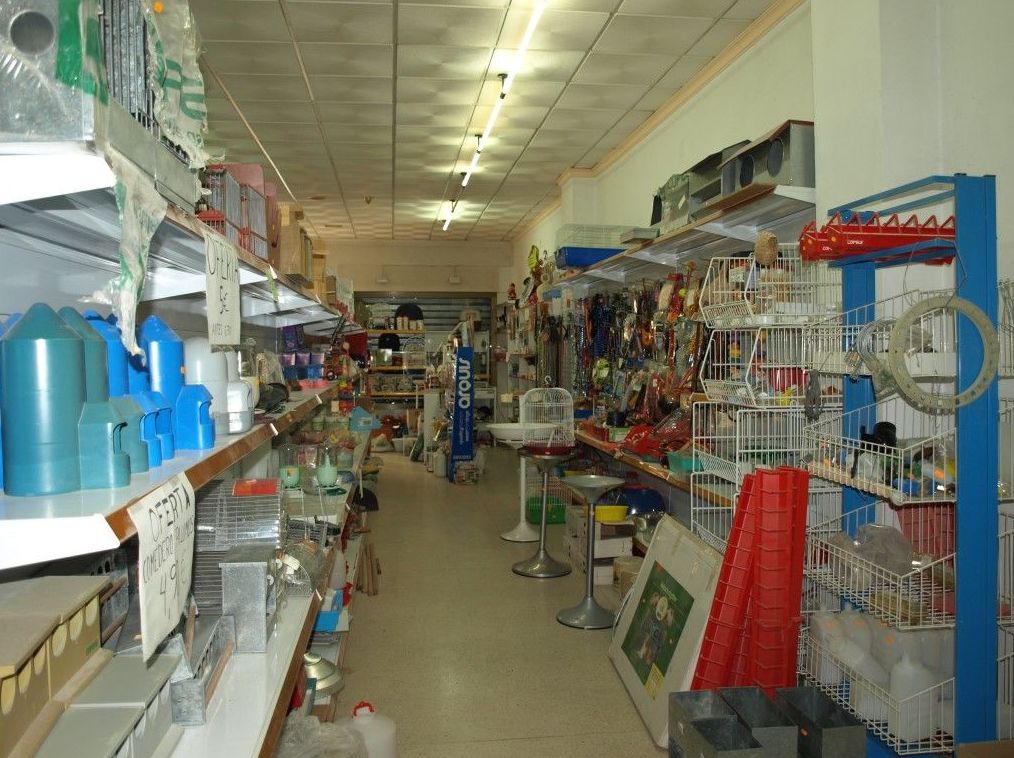 Local en alquiler, Hellin : Compra y alquiler de Servicasa Servicios Inmobiliarios Local en alquiler, Hellin : Compra y alquiler de Servicasa Servicios Inmobiliarios