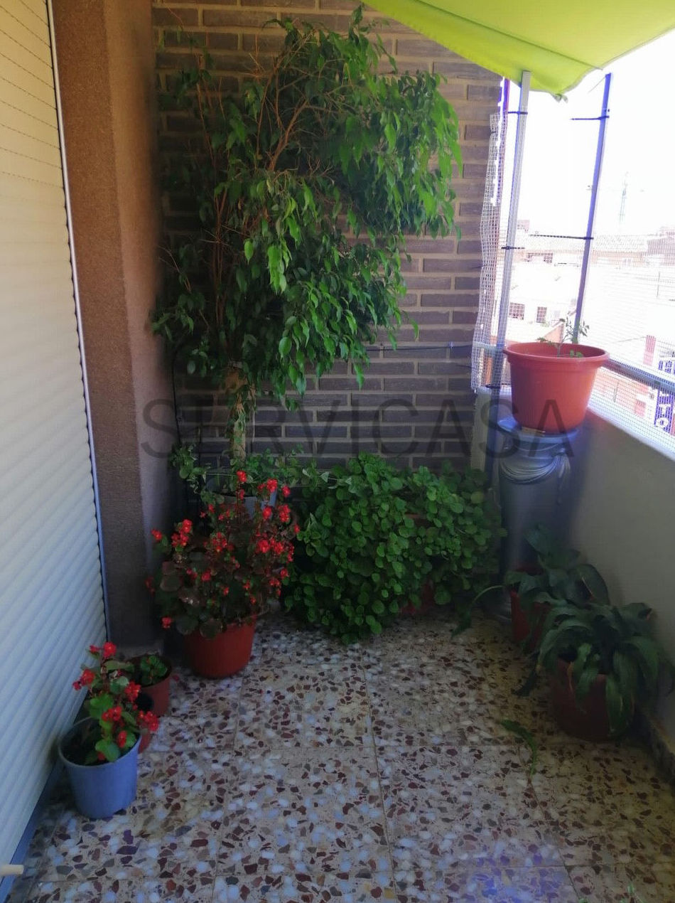 Pisos en venta 63.000€: Compra y alquiler de Servicasa Servicios Inmobiliarios Pisos en venta 63.000€: Compra y alquiler de Servicasa Servicios Inmobiliarios