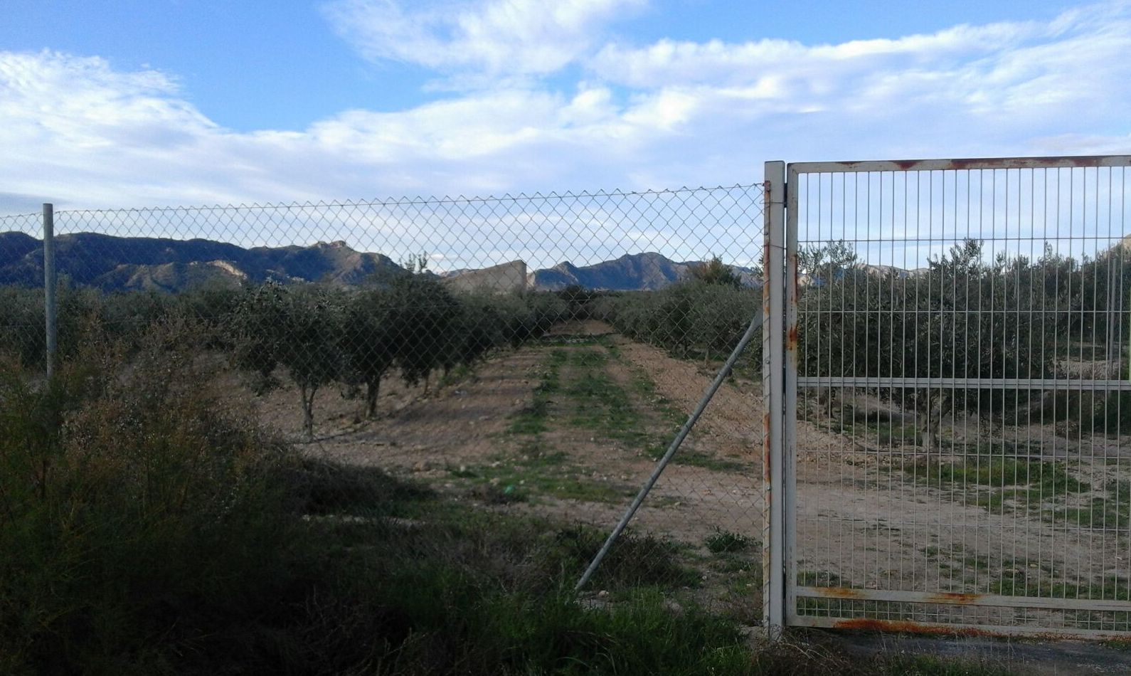 Finca en venta: Compra y alquiler de Servicasa Servicios Inmobiliarios Finca en venta: Compra y alquiler de Servicasa Servicios Inmobiliarios