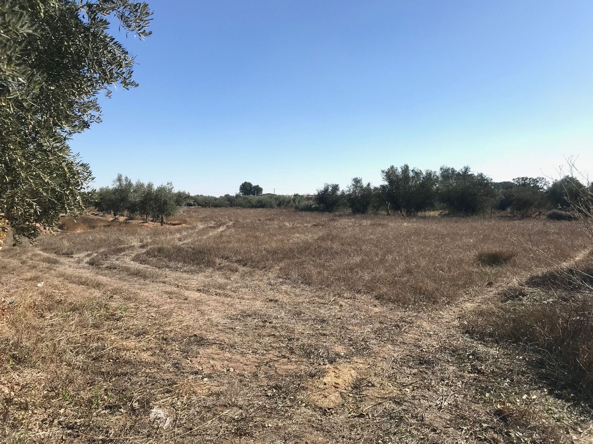 Terrenos en venta 25.000€: Compra y alquiler de Servicasa Servicios Inmobiliarios Terrenos en venta 25.000€: Compra y alquiler de Servicasa Servicios Inmobiliarios