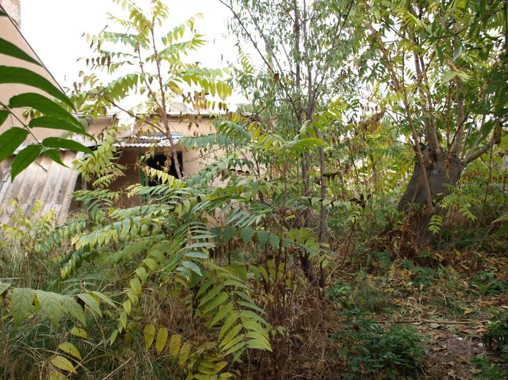 Casas CON TERRENO en venta 50.000€: Compra y alquiler de Servicasa Servicios Inmobiliarios Casas CON TERRENO en venta 50.000€: Compra y alquiler de Servicasa Servicios Inmobiliarios