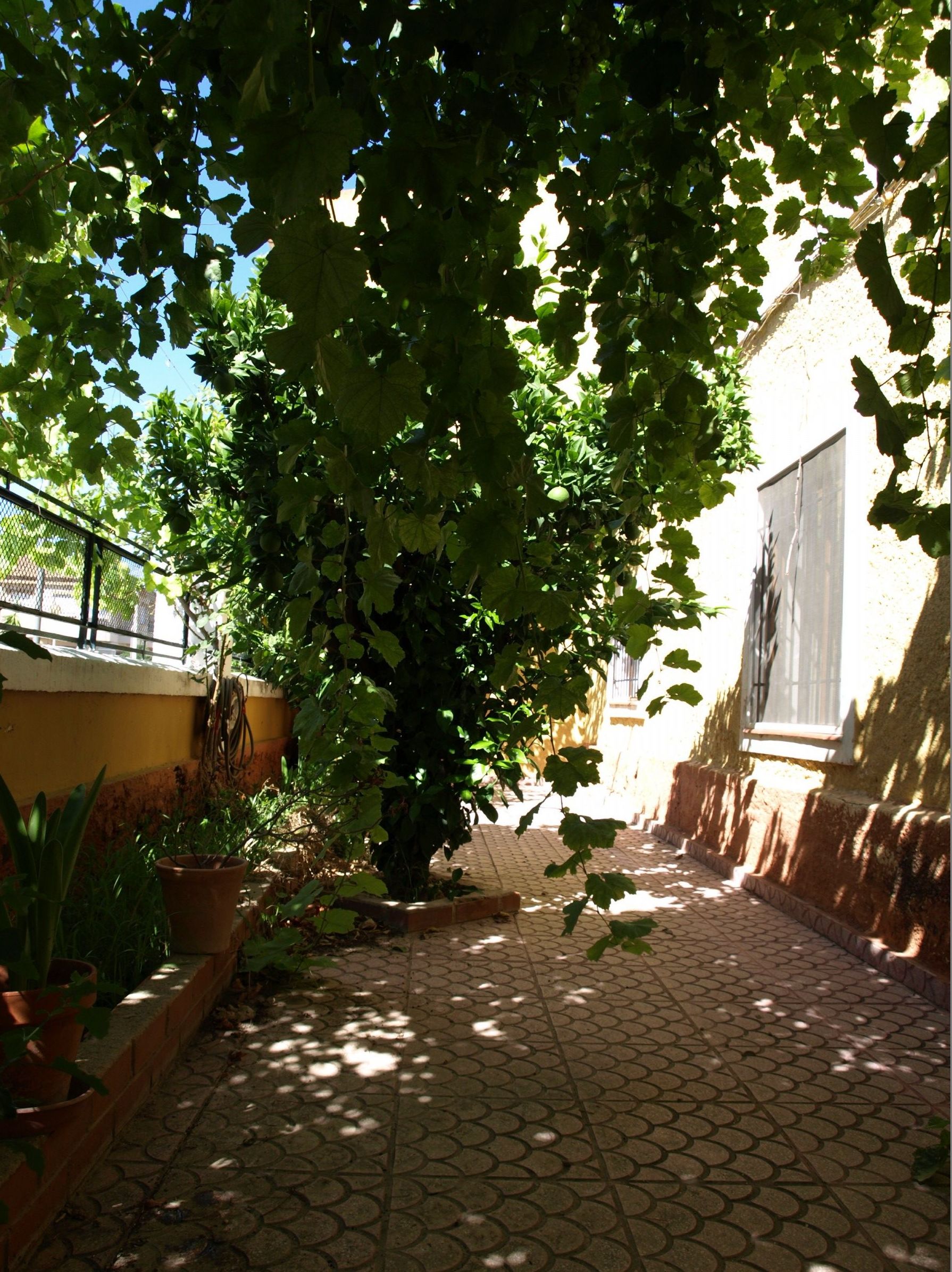 ADOSADO 150.000€: Compra y alquiler de Servicasa Servicios Inmobiliarios ADOSADO 150.000€: Compra y alquiler de Servicasa Servicios Inmobiliarios