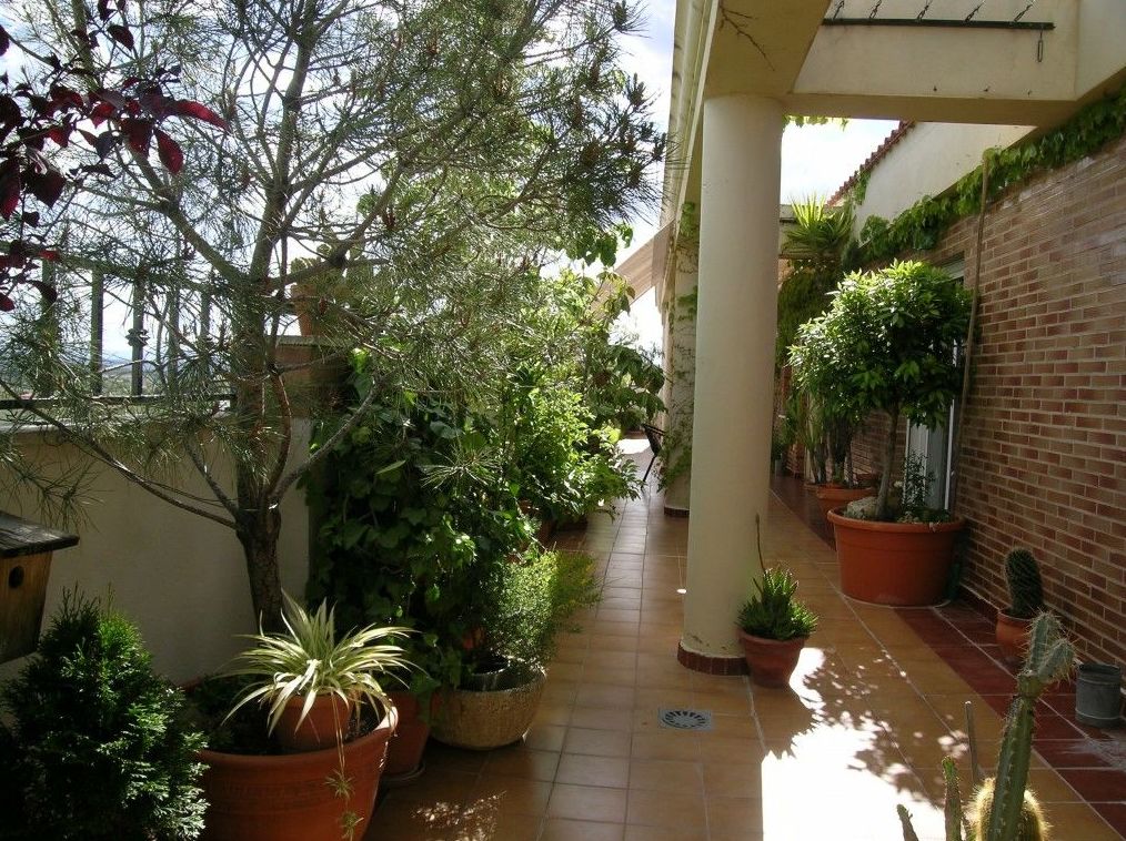 Piso en alquiler, Hellin: Compra y alquiler de Servicasa Servicios Inmobiliarios Piso en alquiler, Hellin: Compra y alquiler de Servicasa Servicios Inmobiliarios