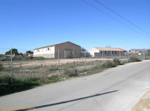 Nave en alquiler: Compra y alquiler de Servicasa Servicios Inmobiliarios Nave en alquiler: Compra y alquiler de Servicasa Servicios Inmobiliarios