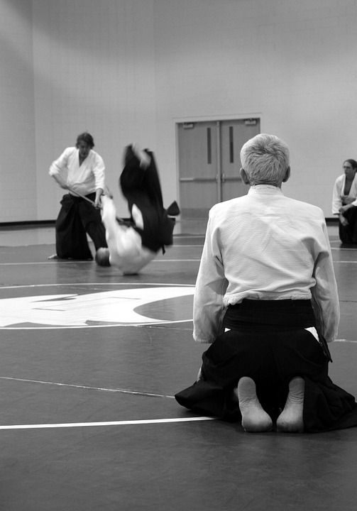 Hapkido: Clases de Ultra Gym Hapkido: Clases de Ultra Gym