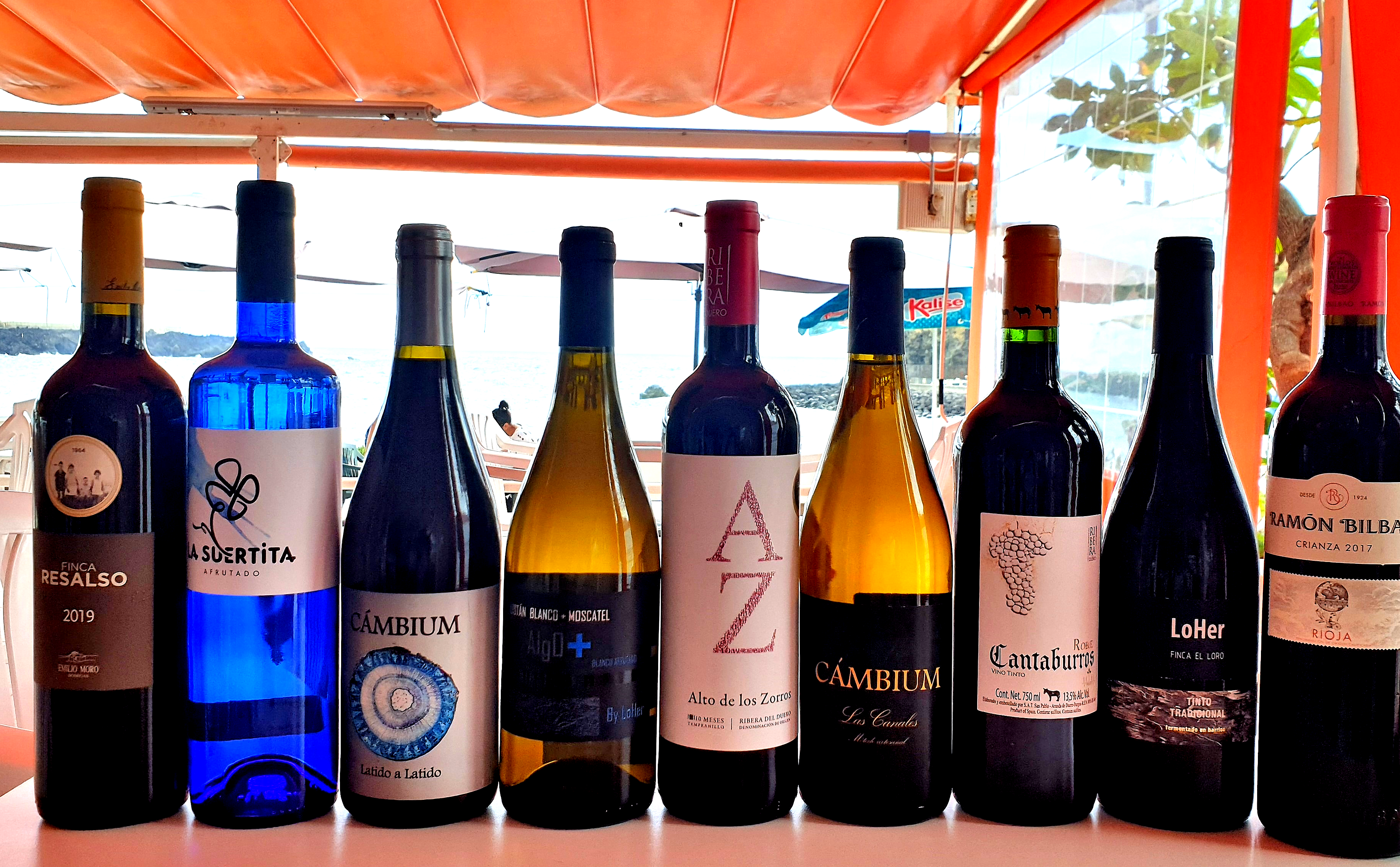 vinos domina.jpg vinos domina.jpg