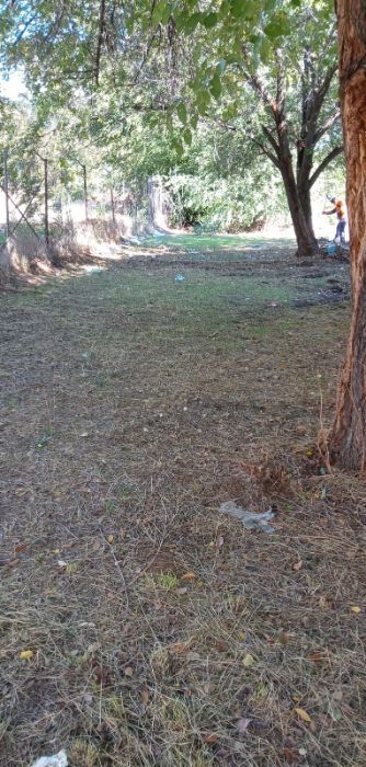 Desbroces: Servicios de Podas y Talas La Ardilla Desbroces: Servicios de Podas y Talas La Ardilla