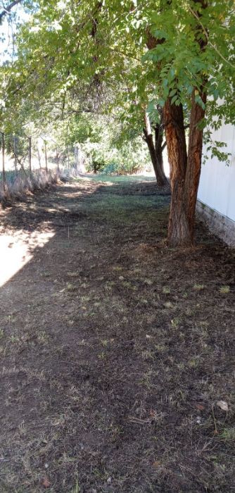 Desbroces: Servicios de Podas y Talas La Ardilla Desbroces: Servicios de Podas y Talas La Ardilla