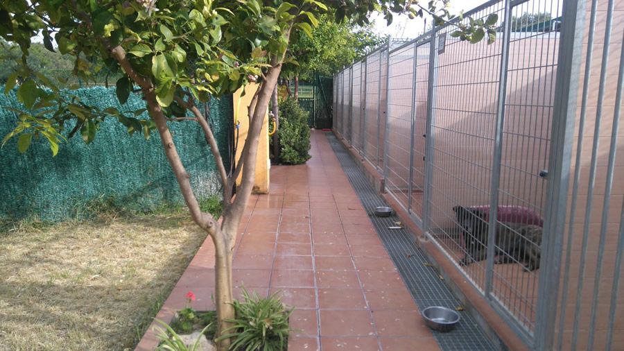 Instalaciones: servicios de Can Fauna Instalaciones: servicios de Can Fauna