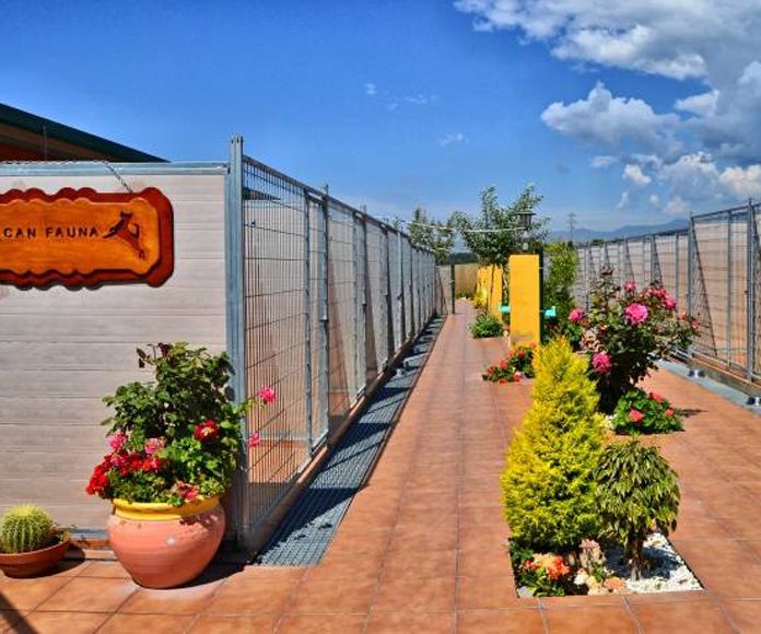 Residencia canina (hotel canino) Residencia canina (hotel canino)