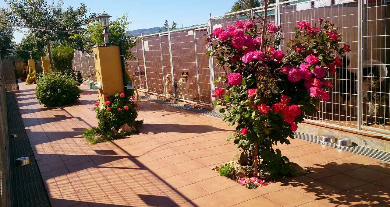 Instalaciones: servicios de Can Fauna Instalaciones: servicios de Can Fauna