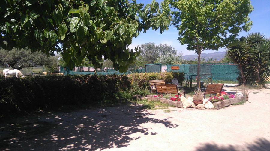 Amplios parques y entorno natural: servicios de Can Fauna Amplios parques y entorno natural: servicios de Can Fauna